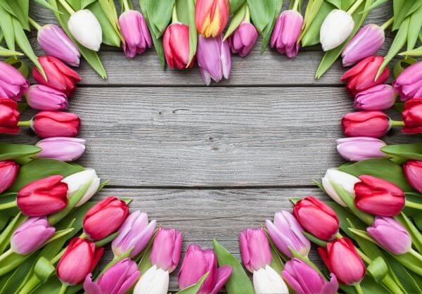 Love Heart of Tulips - Designer Splashback