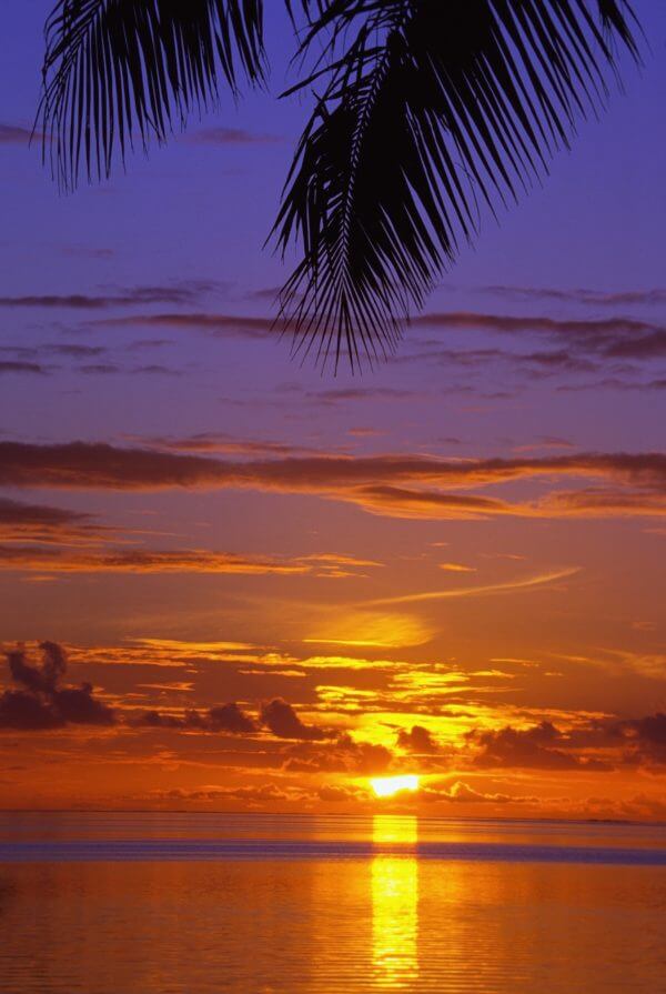 Tropical Sunset - Designer Splashback